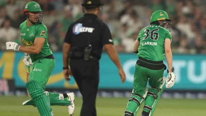 Stoinis