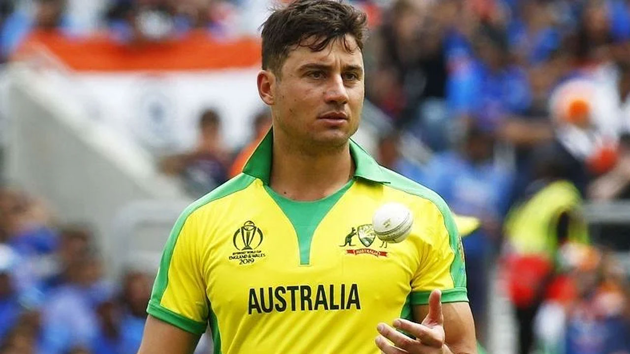stoinis