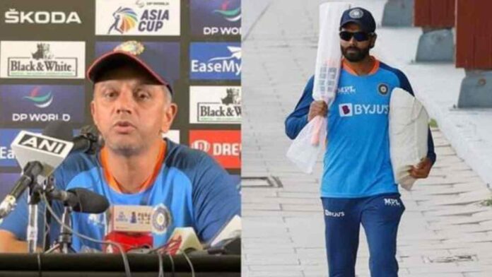 Ravindra Jadeja Rahul Dravid