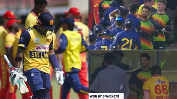 ZIM vs SL 2