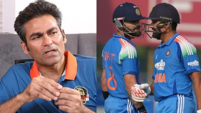 Kaif and ROKO