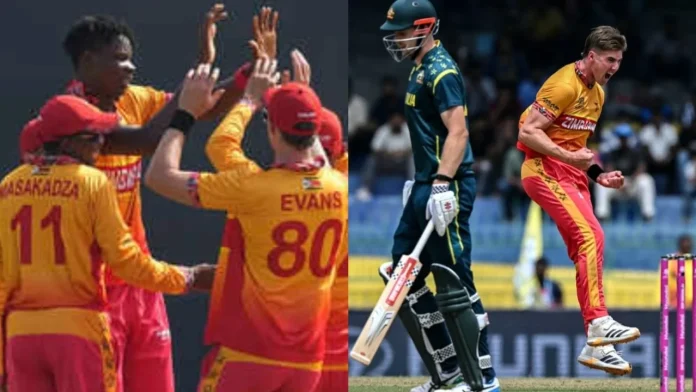 ZIM vs AUS